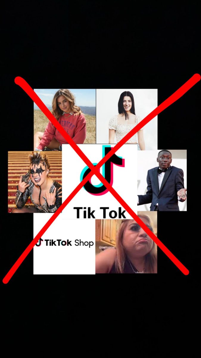 Popular TikTok channels that could be hitting a crisis point soon